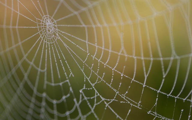 Web Design Icon